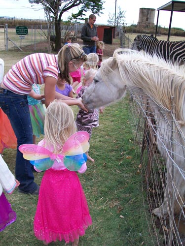 Feeding Animals